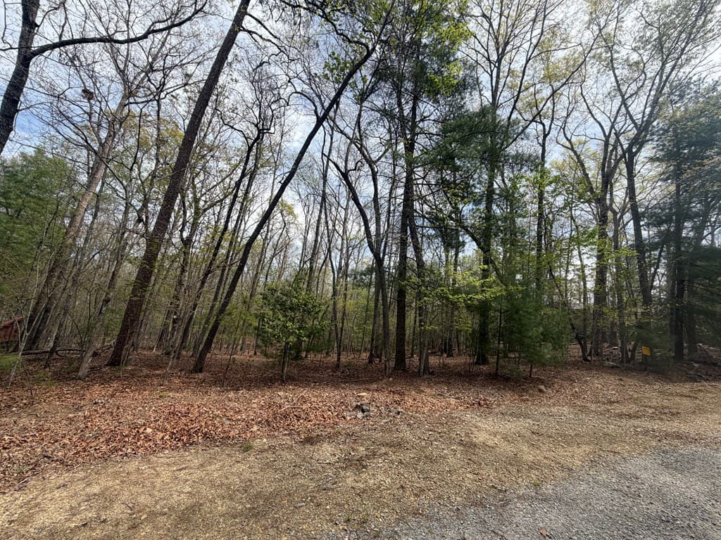 # 2 Amber Way, Morganton GA 30560 - Photo
