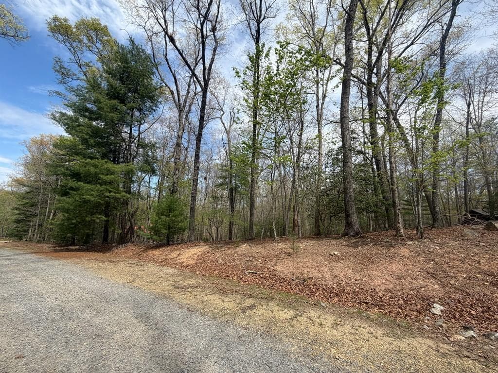 # 2 Amber Way, Morganton GA 30560 - Primary photo