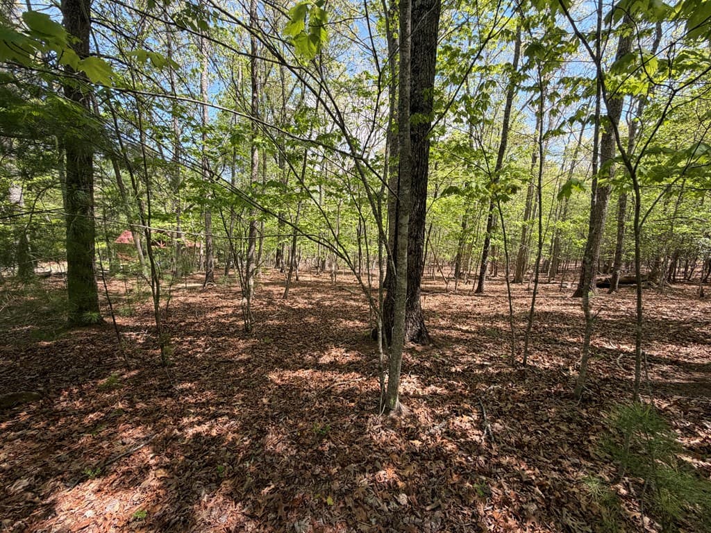 # 2 Amber Way, Morganton GA 30560 - Photo