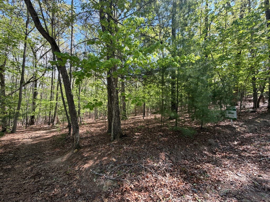 # 2 Amber Way, Morganton GA 30560 - Photo