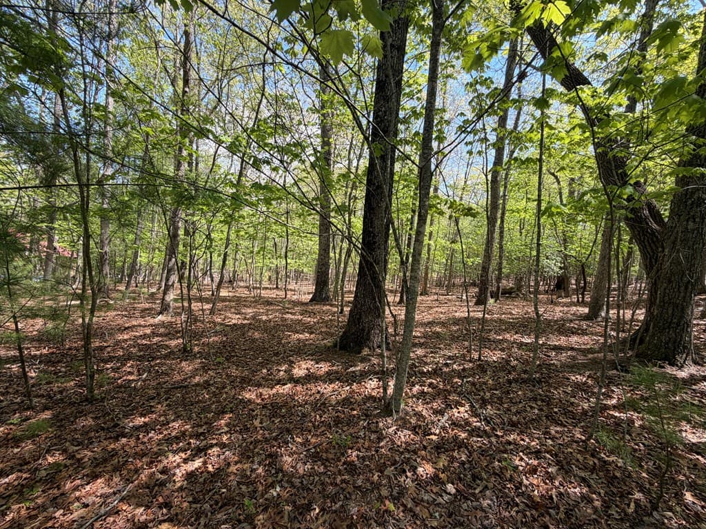 # 2 Amber Way, Morganton GA 30560 - Photo