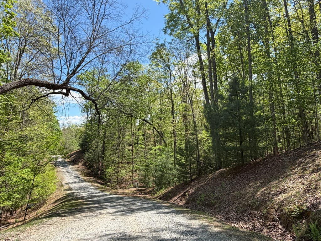 #16 Christian Crossing, Morganton GA 30560 - Photo