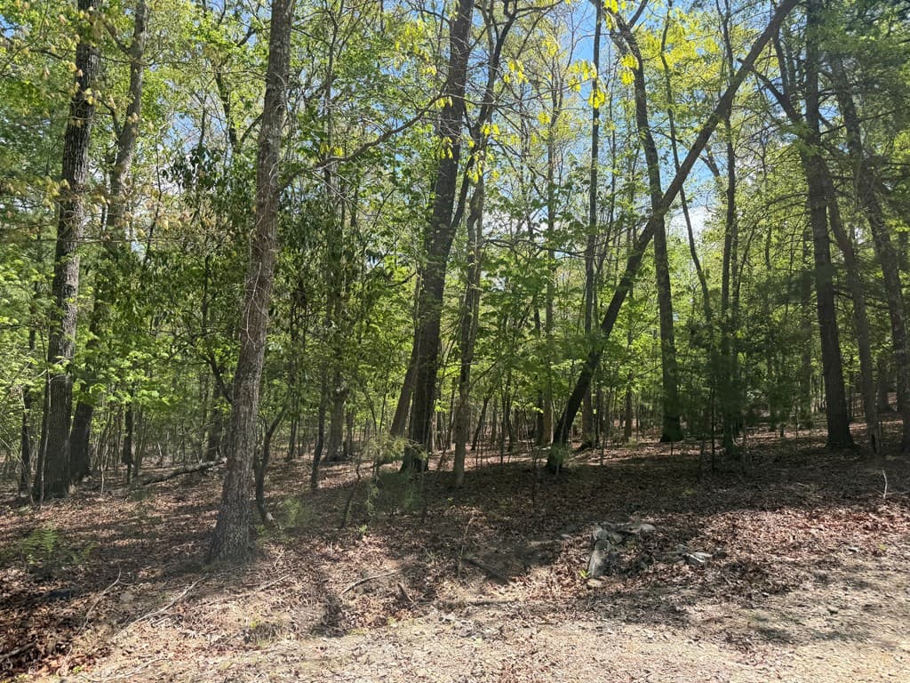 #16 Christian Crossing, Morganton GA 30560 - Photo