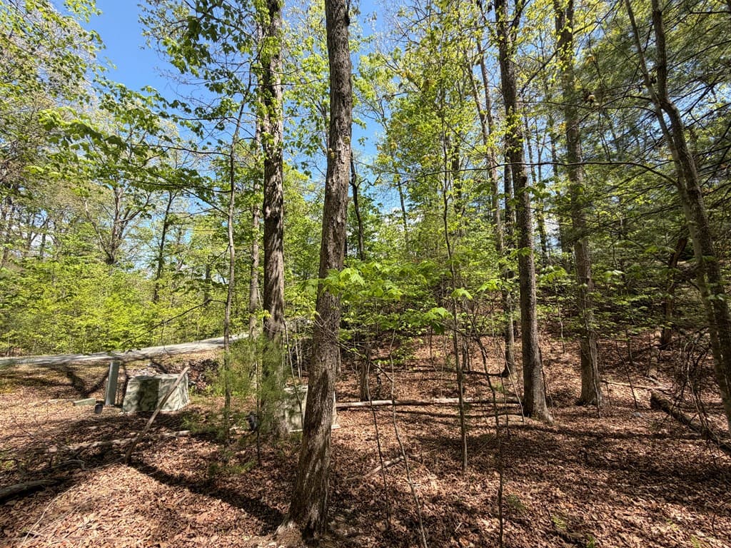 #16 Christian Crossing, Morganton GA 30560 - Photo