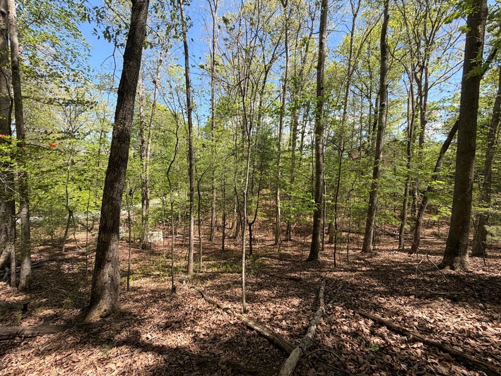 #16 Christian Crossing, Morganton GA 30560 - Photo