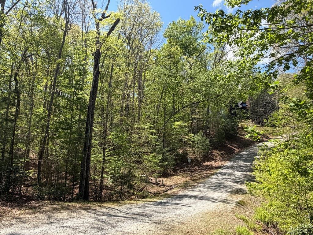#16 Christian Crossing, Morganton GA 30560 - Photo