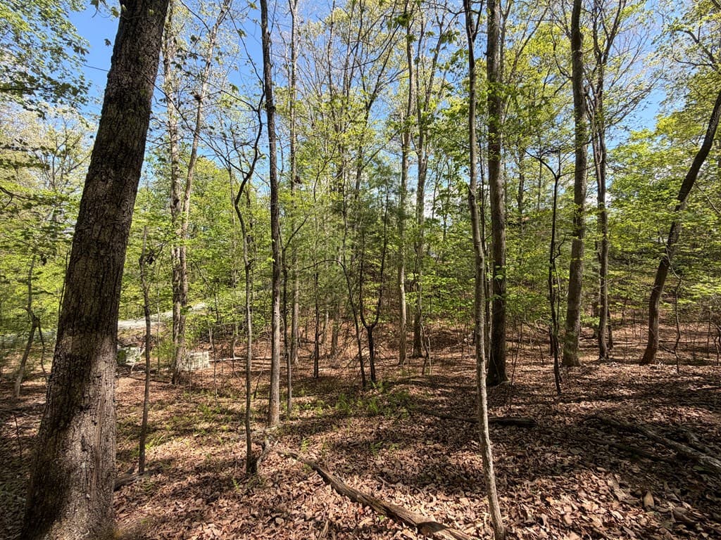 #16 Christian Crossing, Morganton GA 30560 - Photo