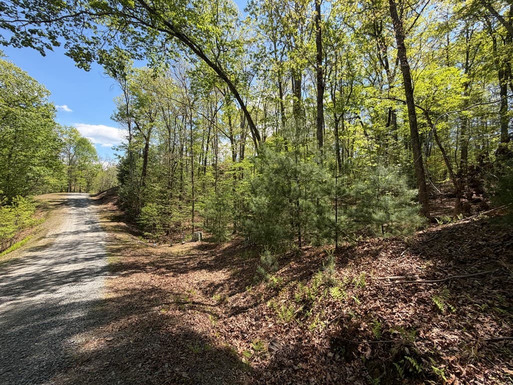 #16 Christian Crossing, Morganton GA 30560 - Photo