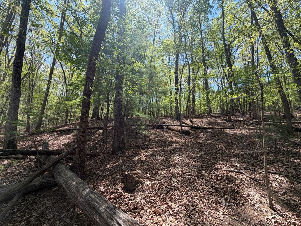 #16 Christian Crossing, Morganton GA 30560 - Photo