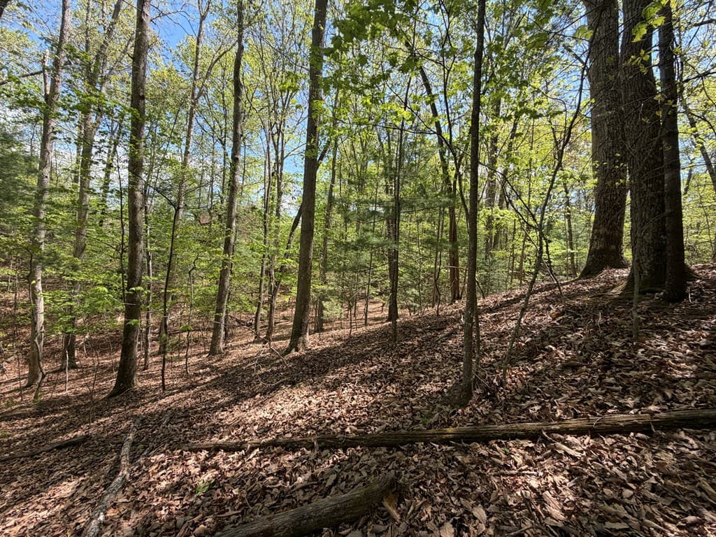 #16 Christian Crossing, Morganton GA 30560 - Photo
