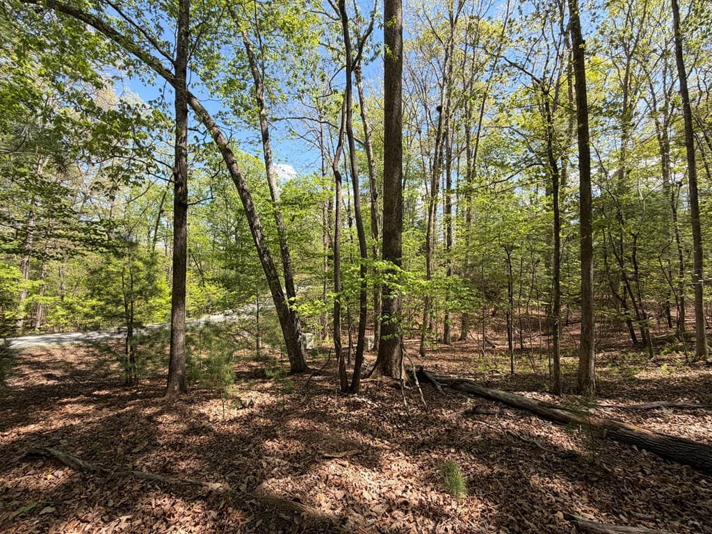 #16 Christian Crossing, Morganton GA 30560 - Photo