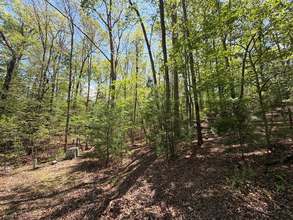 #16 Christian Crossing, Morganton GA 30560 - Photo