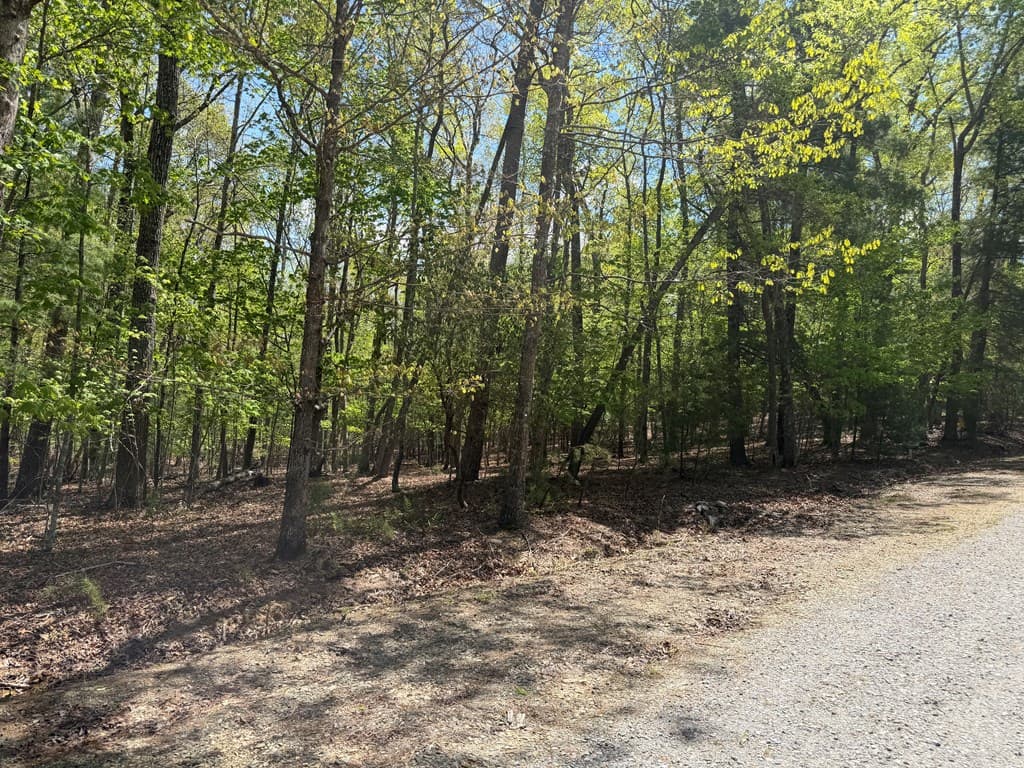 #16 Christian Crossing, Morganton GA 30560 - Photo