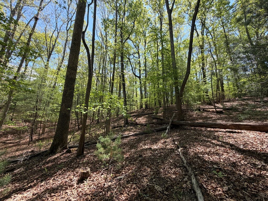 #16 Christian Crossing, Morganton GA 30560 - Photo