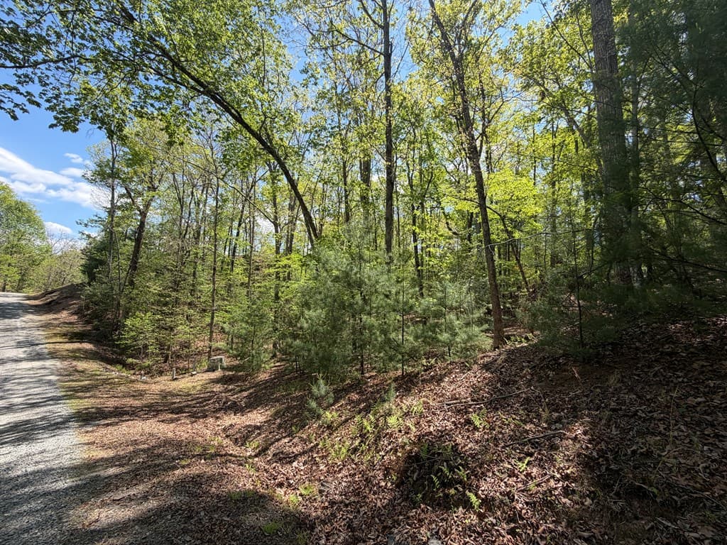 #16 Christian Crossing, Morganton GA 30560 - Photo