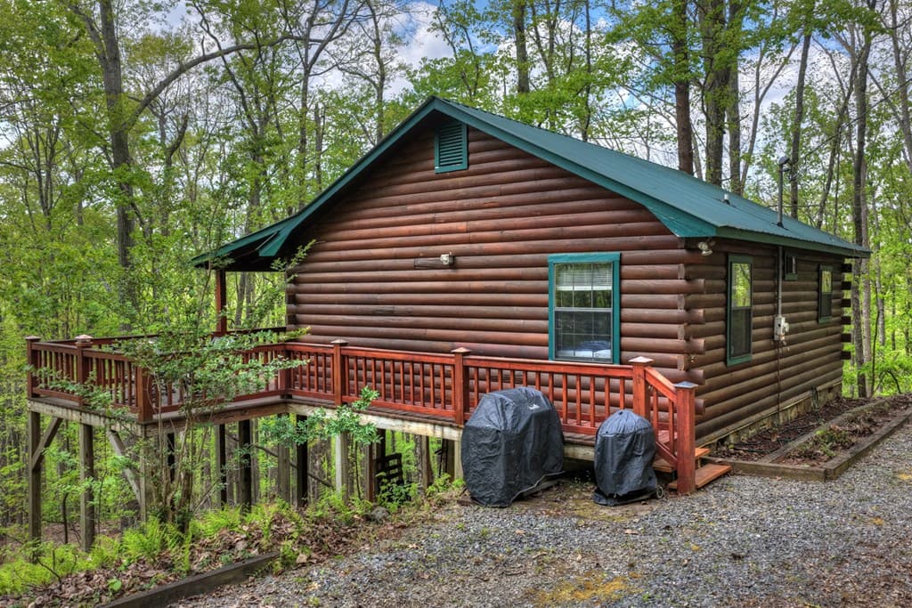 660 Ripshin Mountain Road, Blue Ridge GA 30513 - Photo