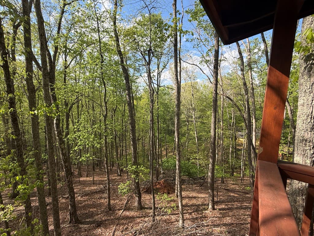 660 Ripshin Mountain Road, Blue Ridge GA 30513 - Photo