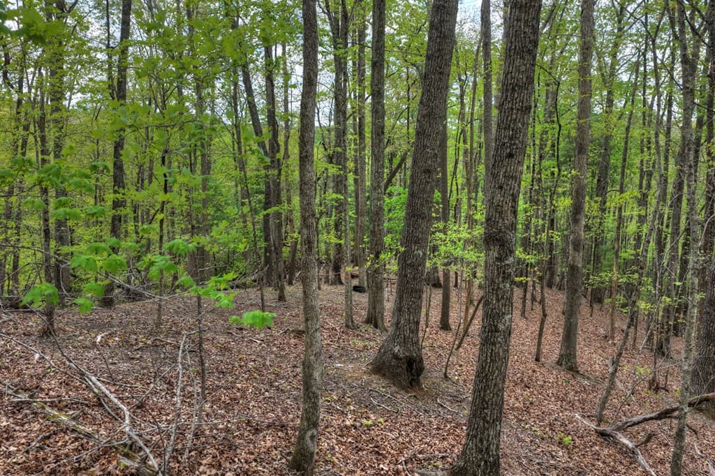 660 Ripshin Mountain Road, Blue Ridge GA 30513 - Photo