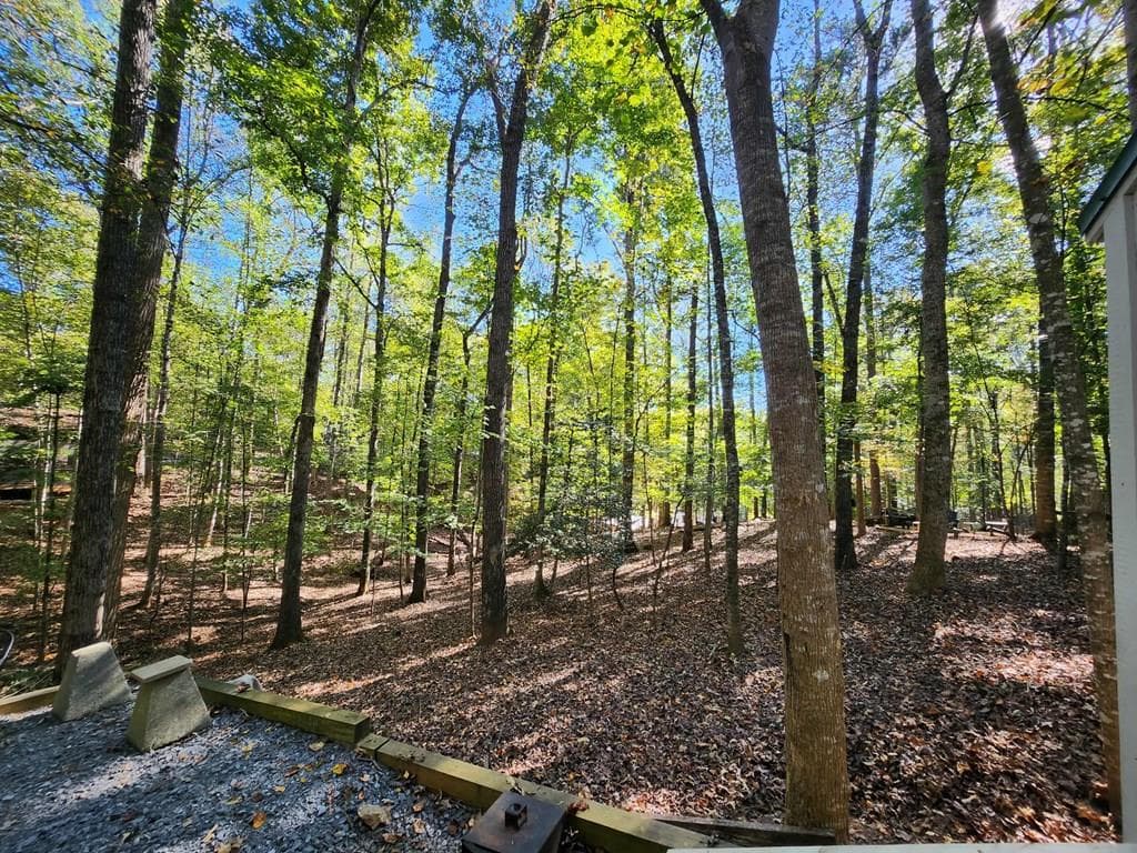 276 13th Street, Ellijay GA 30540 - Photo