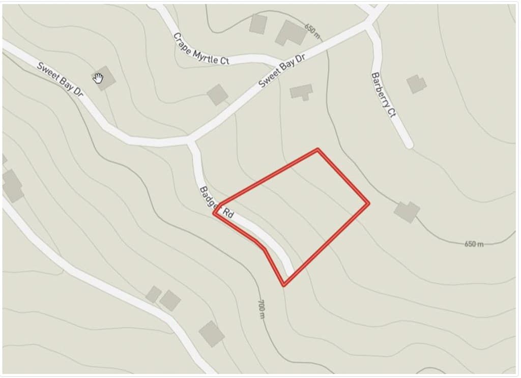 102 Badger Road, Blairsville GA 30512 - Photo