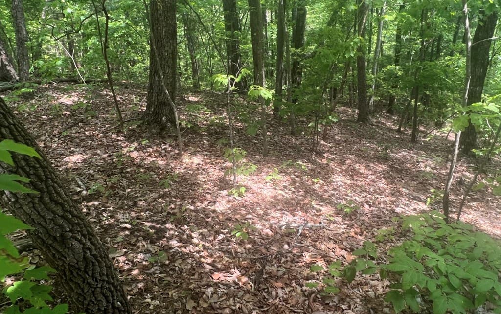 102 Badger Road, Blairsville GA 30512 - Photo