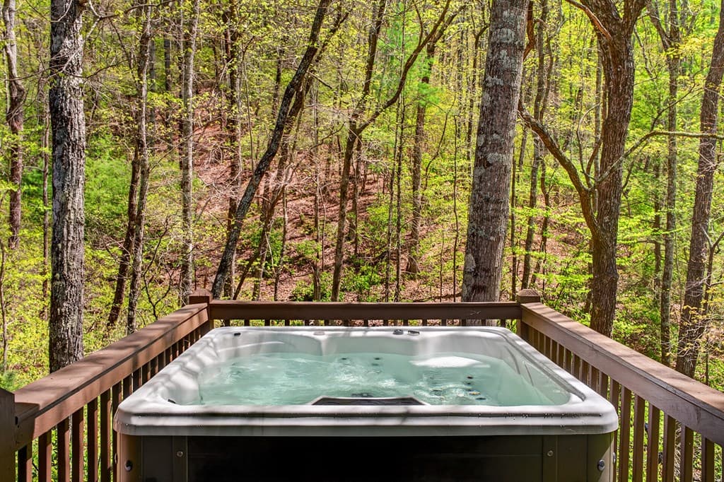 564 Weaver Creek Lane, Blue Ridge GA 30513 - Photo