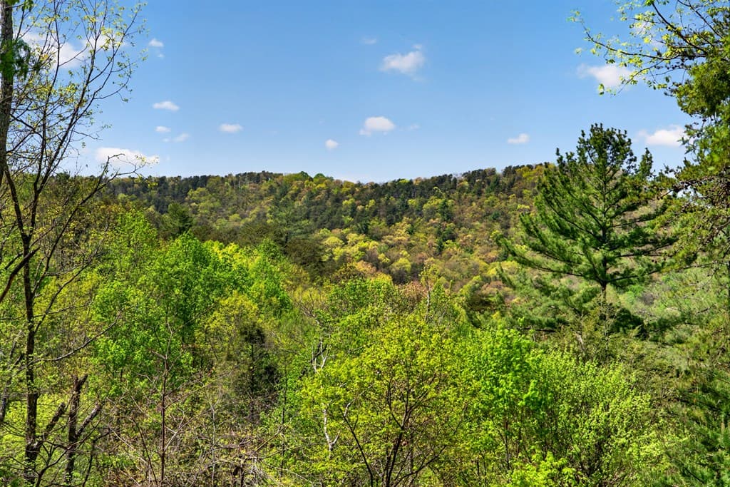 564 Weaver Creek Lane, Blue Ridge GA 30513 - Photo