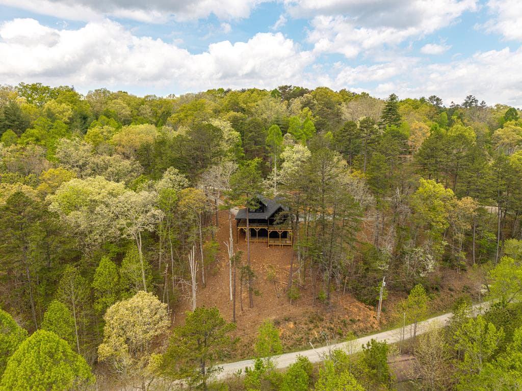 250 Wolf Creek Circle, Mineral Bluff GA 30559 - Photo