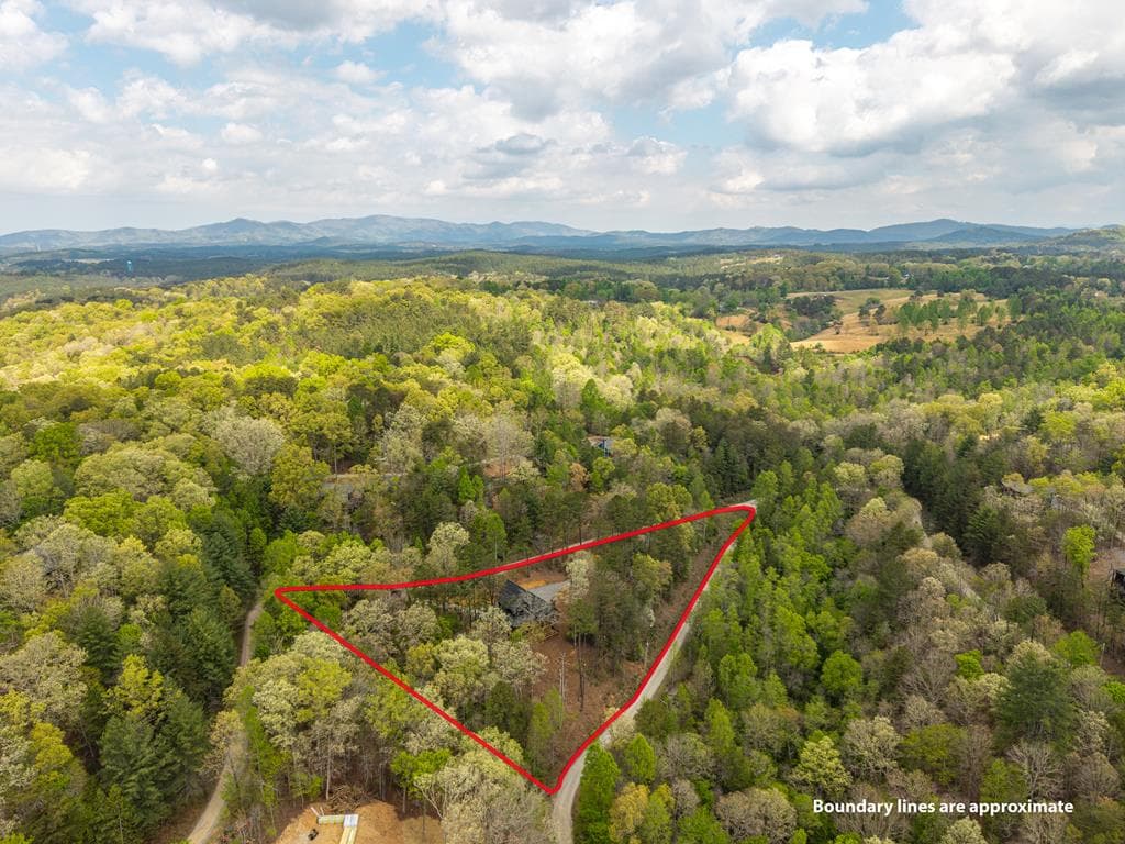 250 Wolf Creek Circle, Mineral Bluff GA 30559 - Photo