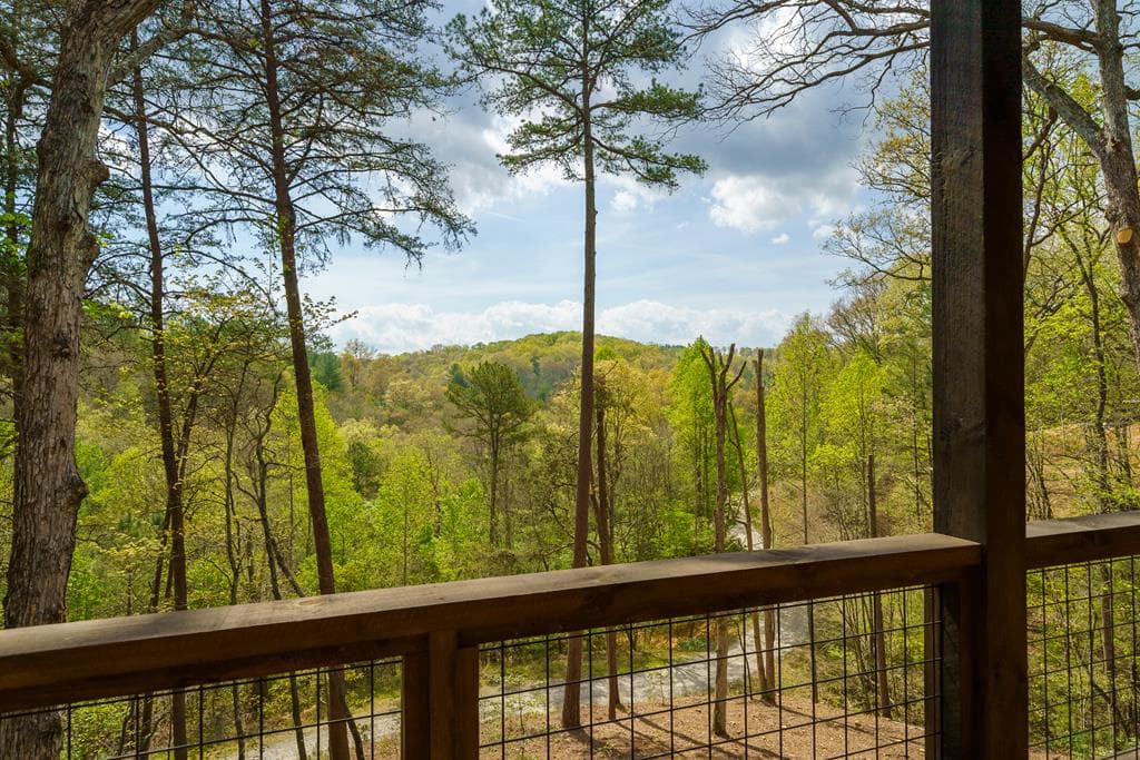 250 Wolf Creek Circle, Mineral Bluff GA 30559 - Photo