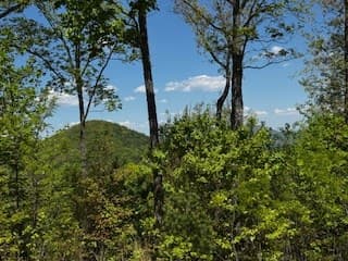 Lot 68 Bowers Road, Blairsville GA 30512 - Photo
