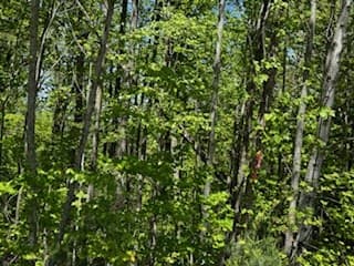Lot 68 Bowers Road, Blairsville GA 30512 - Photo