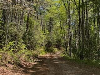 Lot 68 Bowers Road, Blairsville GA 30512 - Photo