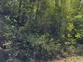 Lot 68 Bowers Road, Blairsville GA 30512 - Photo