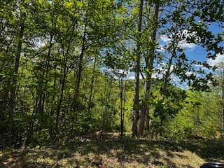Lot 68 Bowers Road, Blairsville GA 30512 - Photo