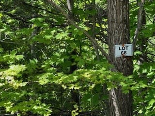 Lot 68 Bowers Road, Blairsville GA 30512 - Photo
