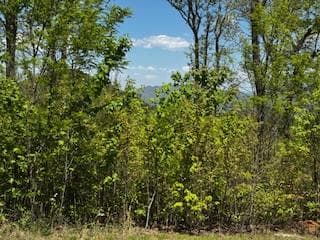 Lot 68 Bowers Road, Blairsville GA 30512 - Primary photo
