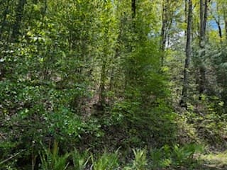 Lot 68 Bowers Road, Blairsville GA 30512 - Photo