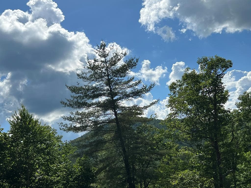 Lot 68 Bowers Road, Blairsville GA 30512 - Photo