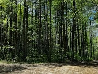Lot 68 Bowers Road, Blairsville GA 30512 - Photo