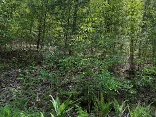 Lot 68 Bowers Road, Blairsville GA 30512 - Photo