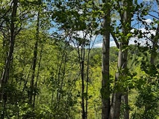Lot 68 Bowers Road, Blairsville GA 30512 - Photo