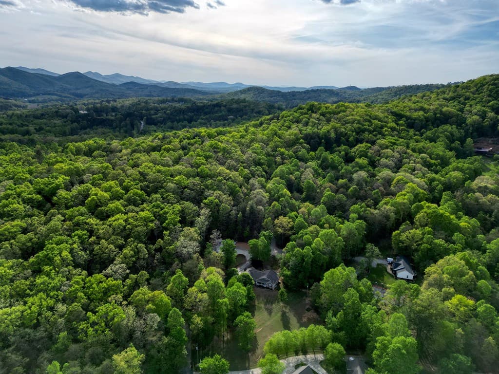 78 Bells Hollow-Trackro, Blairsville GA 30512 - Photo