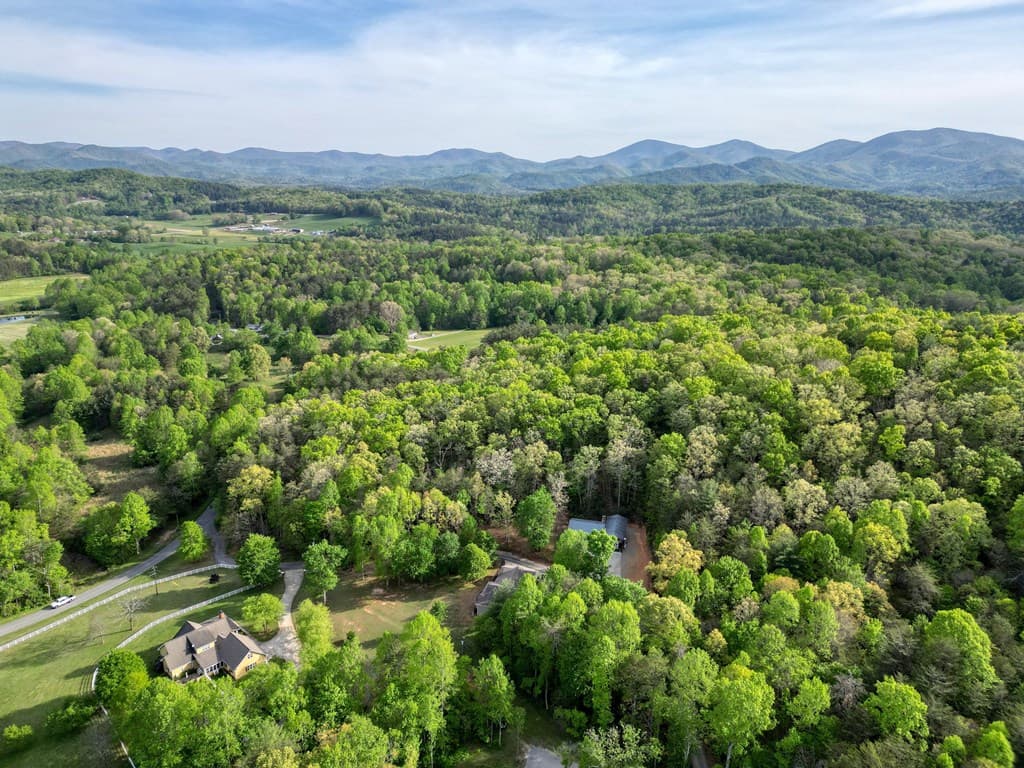 78 Bells Hollow-Trackro, Blairsville GA 30512 - Photo