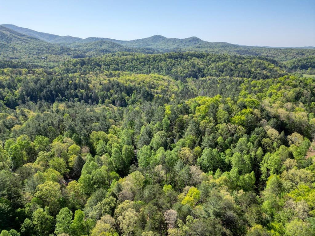 618 S Satsuma Court, Ellijay GA 30540 - Photo