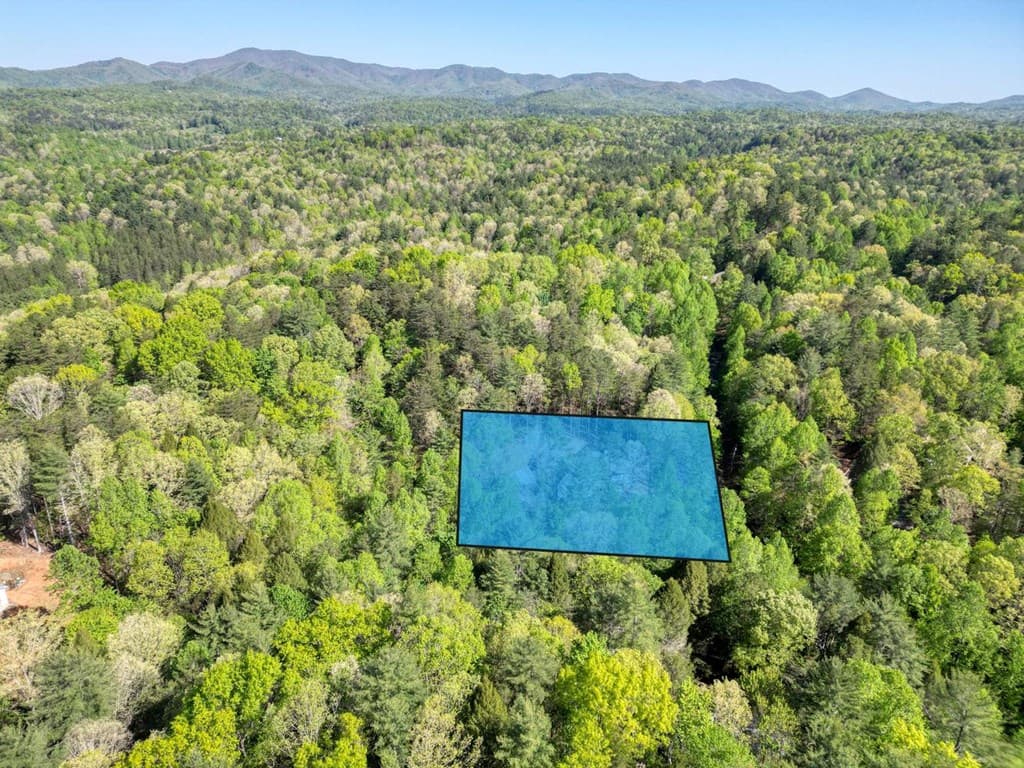 618 S Satsuma Court, Ellijay GA 30540 - Photo