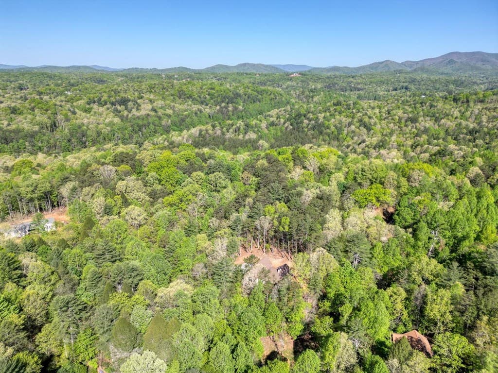 618 S Satsuma Court, Ellijay GA 30540 - Photo