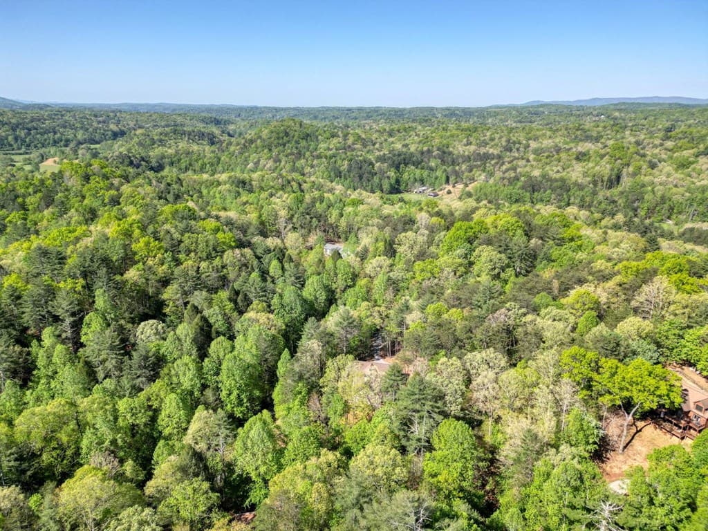 618 S Satsuma Court, Ellijay GA 30540 - Photo
