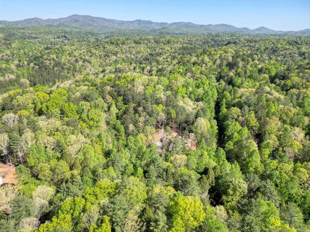618 S Satsuma Court, Ellijay GA 30540 - Photo