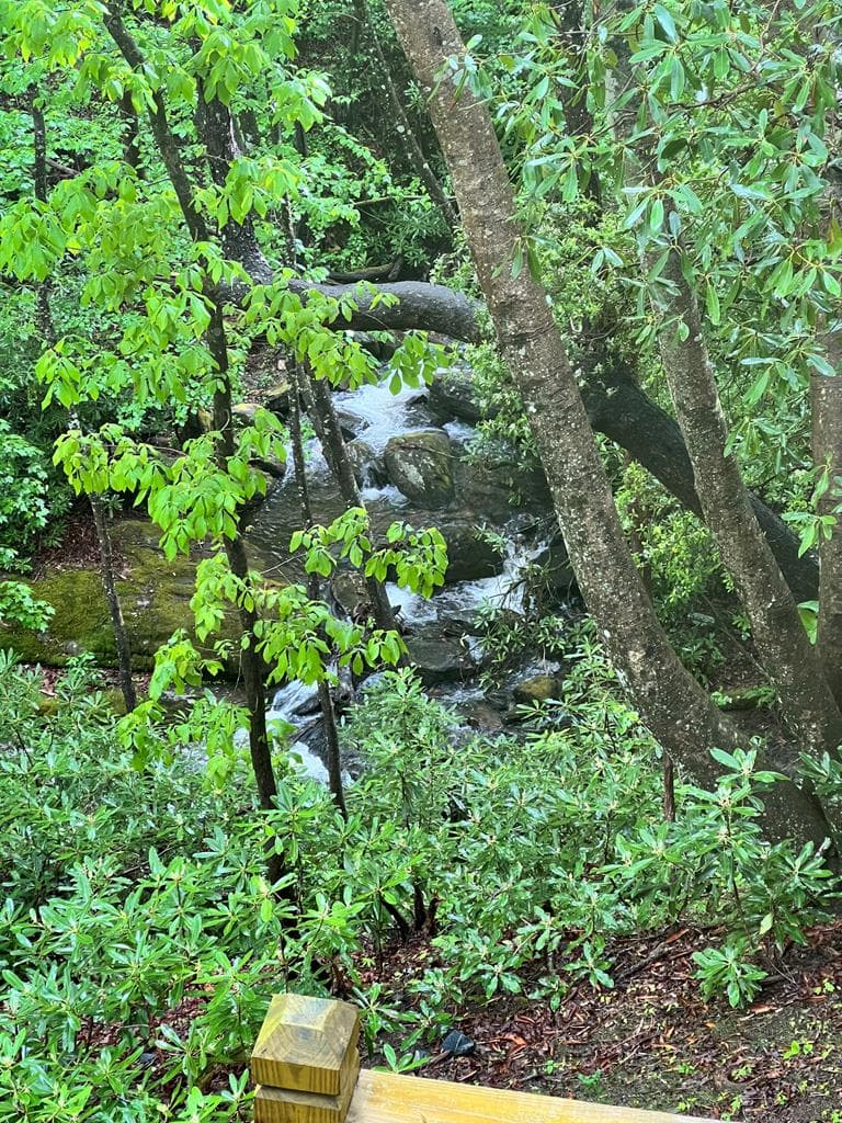 77 Denali Drive, Clayton GA 30525 - Photo